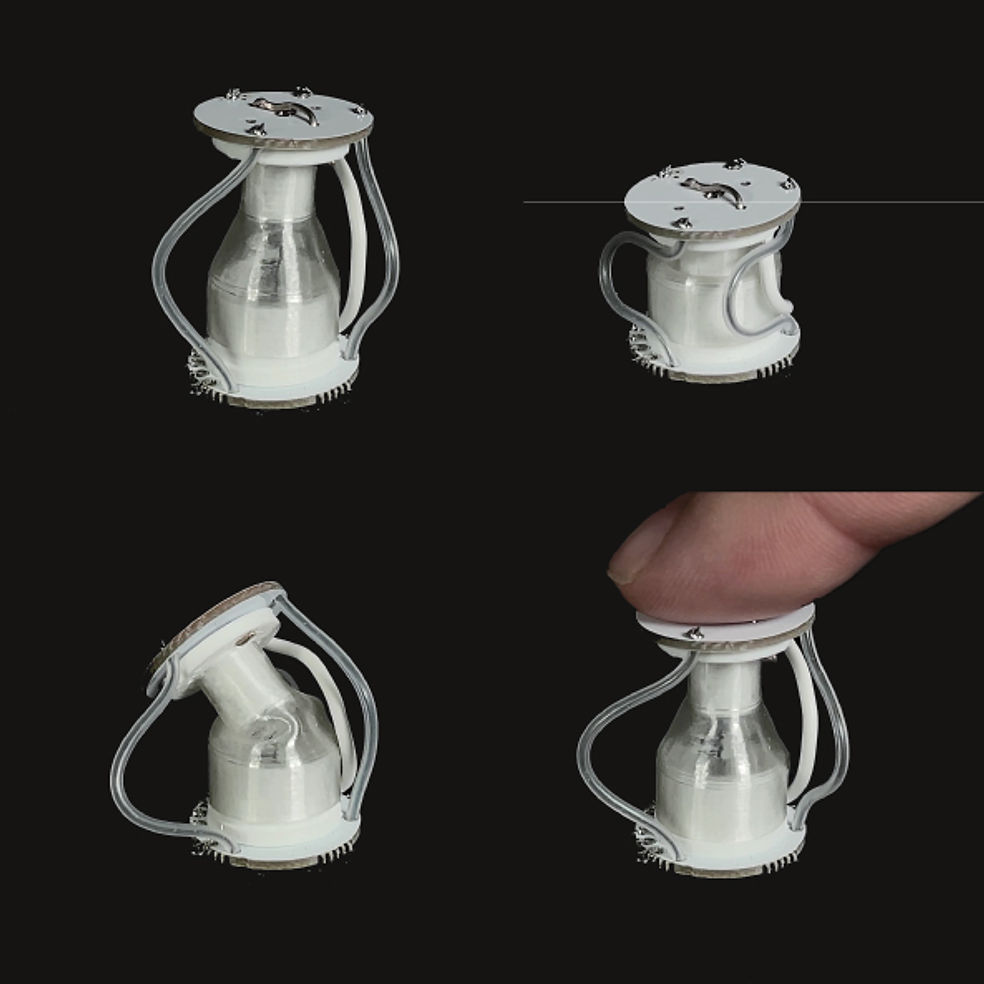 ConeAct: A Multistable Actuator for Dynamic Materials